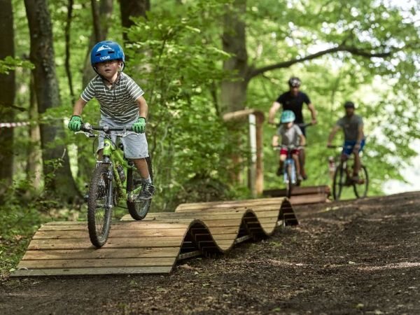 Parcours VTT en pin traité autoclave